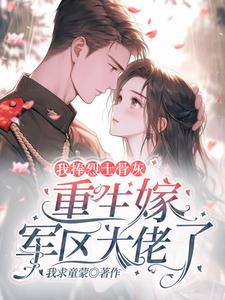 我捧烈士骨灰，重生嫁军区大佬了封面图片