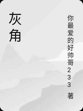 灰角封面图片