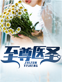 至尊医圣封面图片