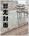 玉壶野史封面图片