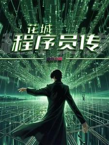 花城程序员传封面图片