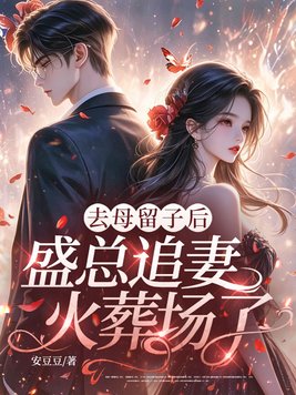 去母留子后，盛总追妻火葬场了封面图片